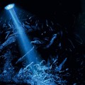 Розпилювач з LED освітленням Hobby Bubble Air Spot moon (00671)