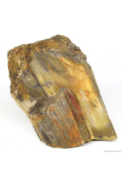 Декоративный природный камень Hobby Petrified Wood S 0.3-1.0кг (40686)