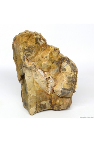 Декоративный природный камень Hobby Petrified Wood M 1-2.2кг (40687)