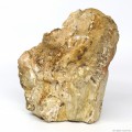 Декоративный природный камень Hobby Petrified Wood M 1-2.2кг (40687)