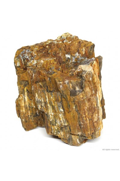 Декоративний природній камінь Hobby Petrified Wood L 2.2-4кг (40688)