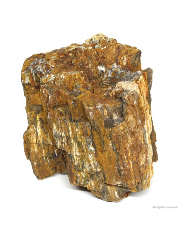 Декоративний природній камінь Hobby Petrified Wood L 2.2-4кг (40688)