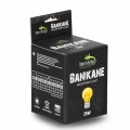 Неодимова лампа Terrario Banikane Neodymium Light 25W – обігрівальна UVA лампа для тераріуму