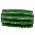 Декорация укрытия кактус Hobby Cactus Tube 1 13,5×8,5×7 см для террариума (36510)