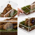 Террариум акриловый Repti-Zoo Easy Clean Acrylic ACR47 20×10×10 см для насекомых, пауков Террариум акриловый Repti-Zoo Easy Clean Acrylic ACR47 20×10×10 см для насекомых, пауков