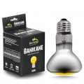 Неодимова лампа Terrario Banikane Neodymium Light 50W – обігрівальна UVA лампа для тераріуму