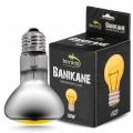 Неодимова лампа Terrario Banikane Neodymium Light 50W – обігрівальна UVA лампа для тераріуму