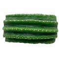 Декорация укрытия кактус Hobby Cactus Tube 2 18,5×11×9,5 см для террариума (36511)