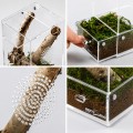 Террариум акриловый Repti-Zoo Easy Clean Acrylic ACR46 10×10×20 см для насекомых, пауков