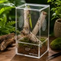 Террариум акриловый Repti-Zoo Easy Clean Acrylic ACR46 10×10×20 см для насекомых, пауков