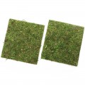 Фон моховий Repti-Zoo Natural Moss Back & Bottom 20x20см 2шт. (NCM2020)
