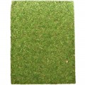 Фон моховий Repti-Zoo Natural Moss Back & Bottom 20x30см 2шт. (NCM3020)