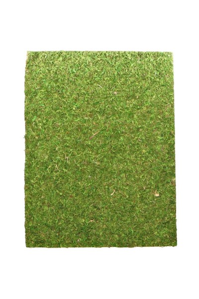 Фон моховый Repti-Zoo Natural Moss Back & Bottom 20x30см 2шт. (NCM3020)