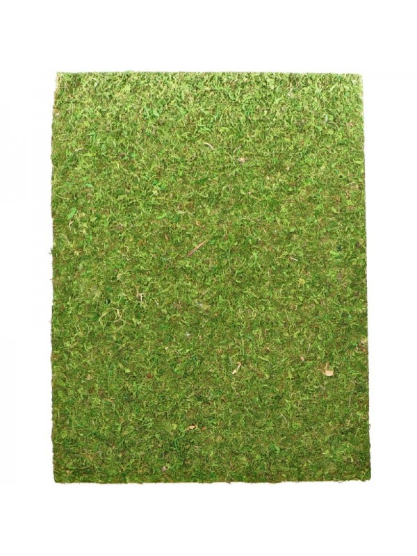 Фон моховий Repti-Zoo Natural Moss Back & Bottom 20x30см 2шт. (NCM3020)