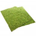Фон моховий Repti-Zoo Natural Moss Back & Bottom 20x30см 2шт. (NCM3020)