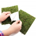 Фон моховий Repti-Zoo Natural Moss Back & Bottom 20x30см 2шт. (NCM3020)