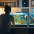 Внутрішній фільтр Kruger Meier NeoClear 600 з біофільтрацією для акваріумів 20–40 літрів