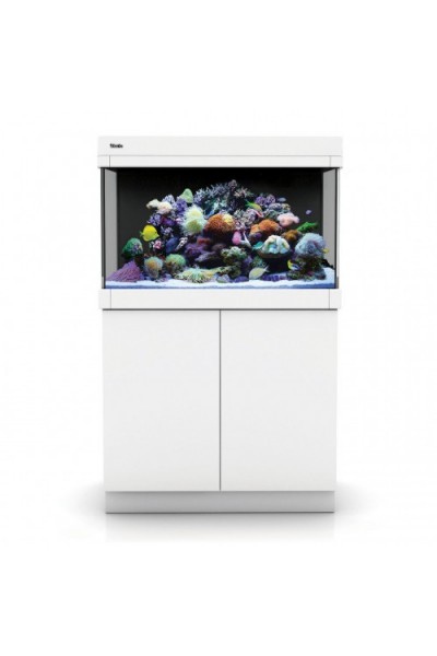 Red Sea Max C-250 - White