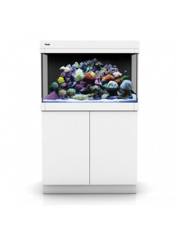 Red Sea Max C-250 - White