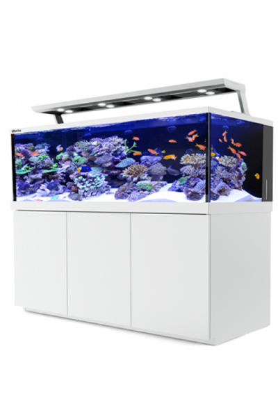 Red Sea Max S-650 -White