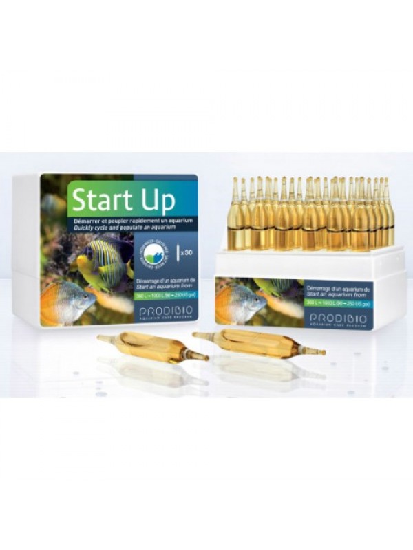 Prodibio Startup 30 ампул