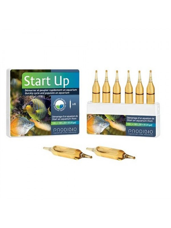Prodibio Startup 6 ампул