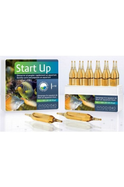 Prodibio Startup 12 ампул