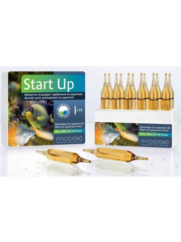 Prodibio Startup 12 ампул