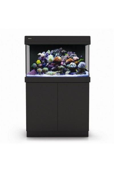 Red Sea Max C-250 - Black