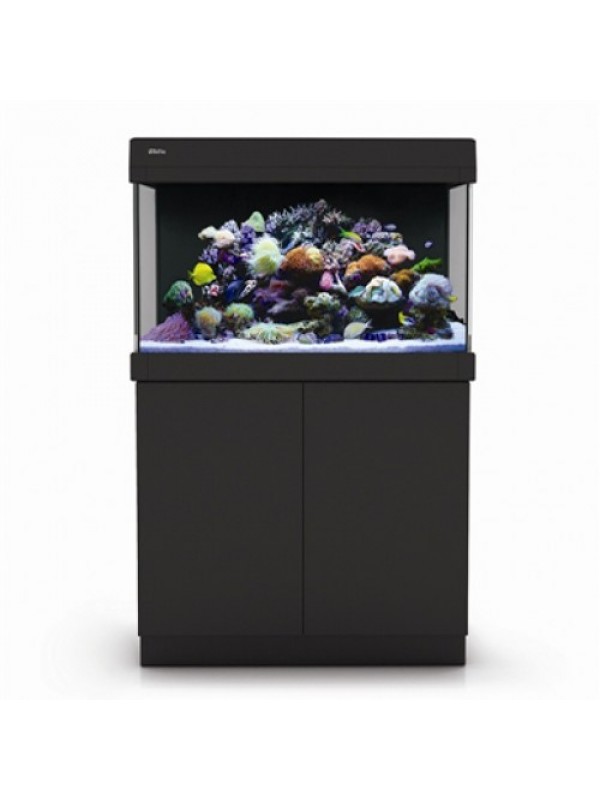 Red Sea Max C-250 - Black