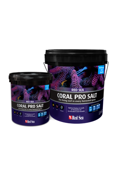 Морська сіль Red Sea Coral Pro 22кг (відро)