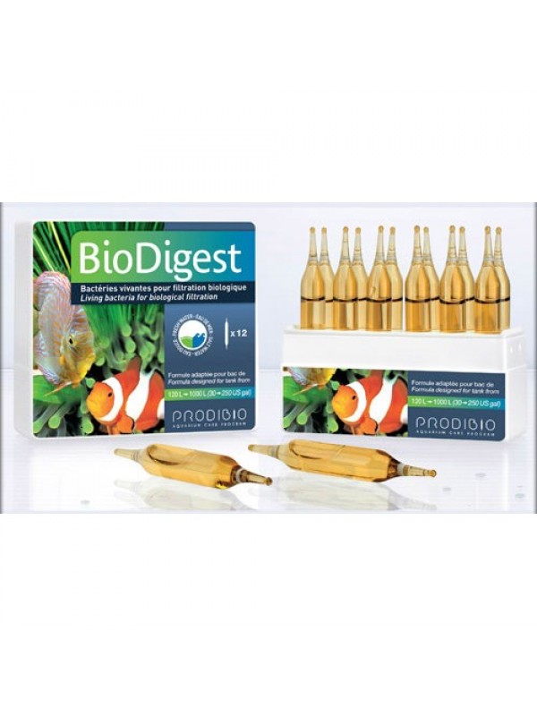 Prodibio BioDigest 12 ампул