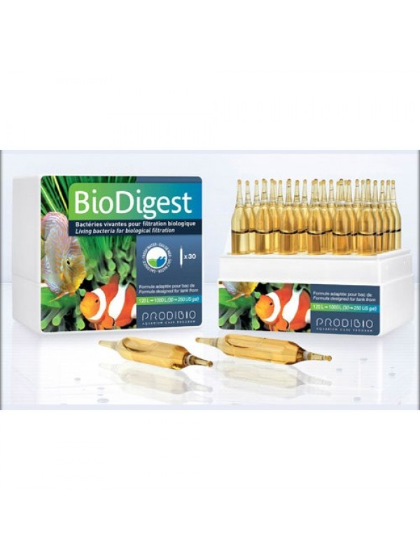 Prodibio BioDigest 30 ампул