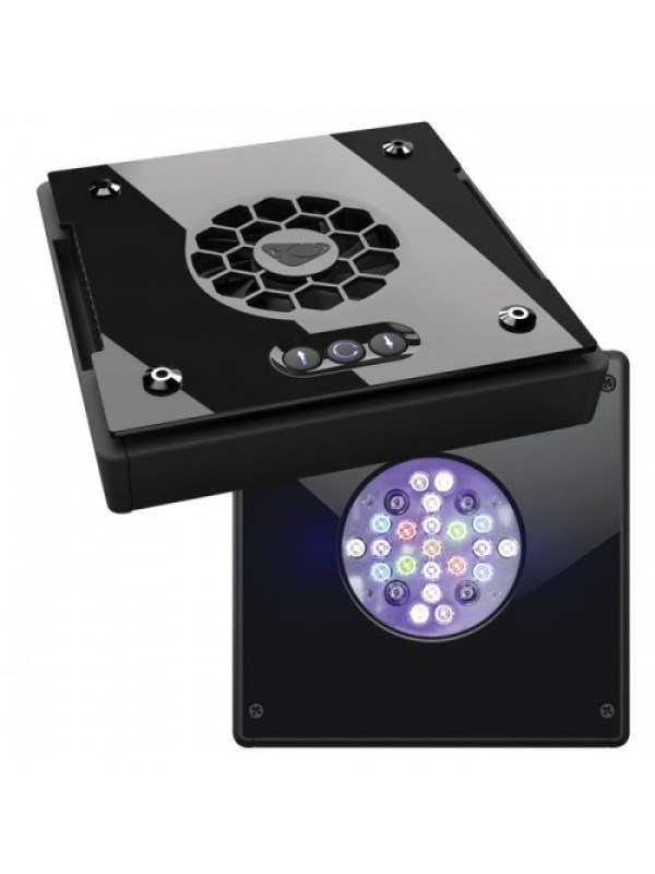 Ecotech Radion XR15W G4