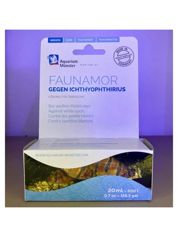 Aquarium Munster Faunamor