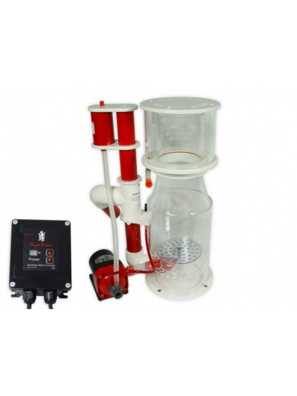 Скімер Royal Exclusiv Bubble King Deluxe 200 + RD3 Speedy