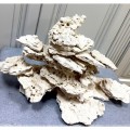 Натуральный рифовый камень - Shelf Rock Marco Rocks