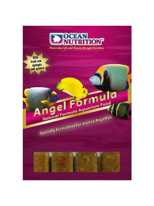 Ocean Nutrition Frozen Angel Formula 100 г.