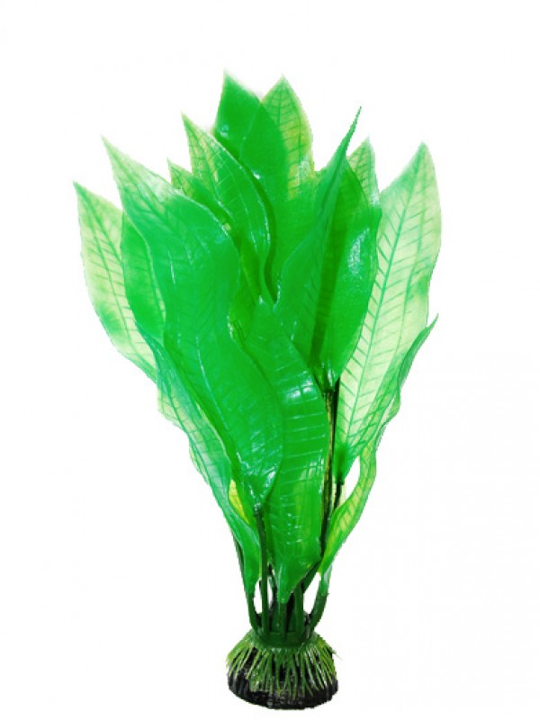 Шелковое растение Hailea Silk Plants M08,10 см